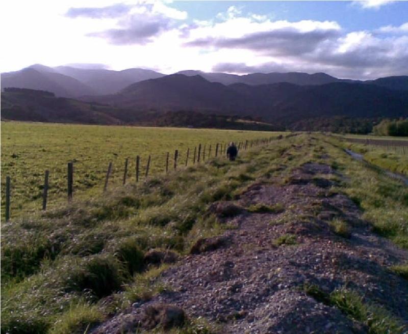 Last lazy bit out, looking back to Papatahi and Mt Matthews