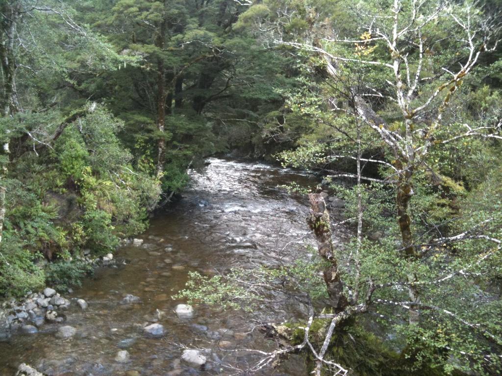 Mt Holdsworth day walk
