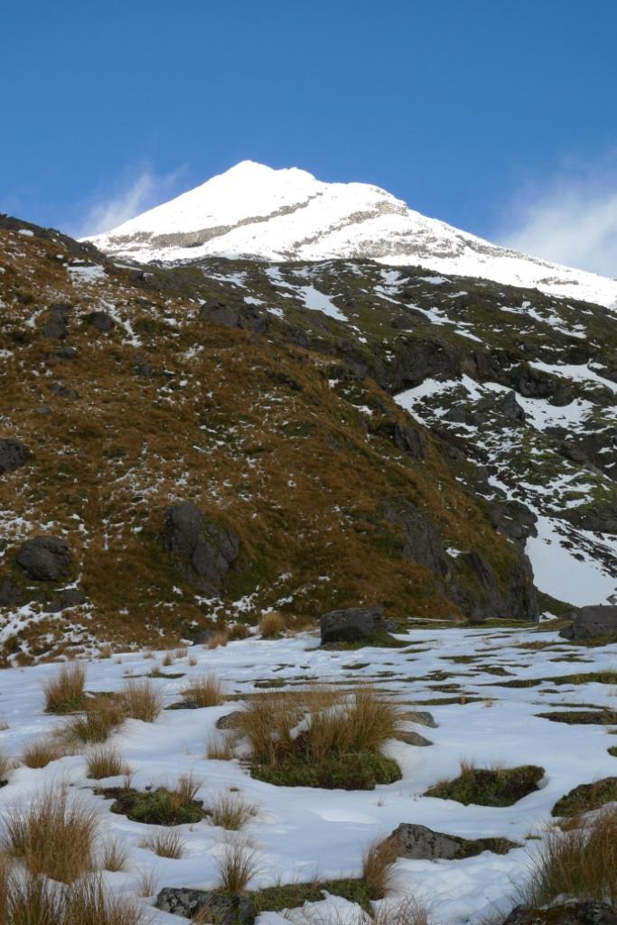 image6 Murray Sutherland Taranaki (3)