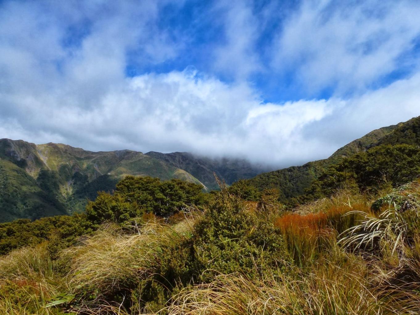 sunny views of the tararuas