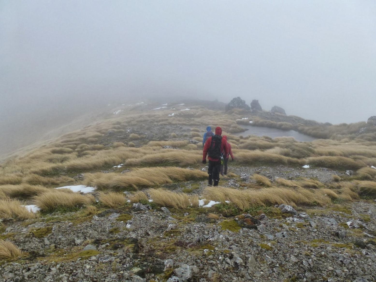 into the mist