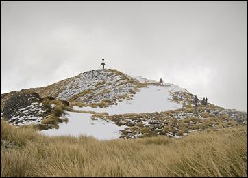 holdsworth 6