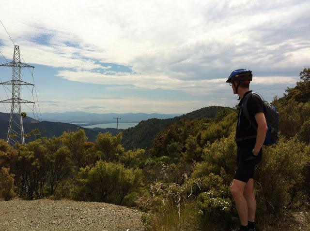 nelson mtb 3