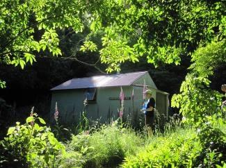 washpool hut
