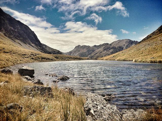 tarn col