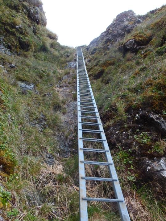 maungahuka3