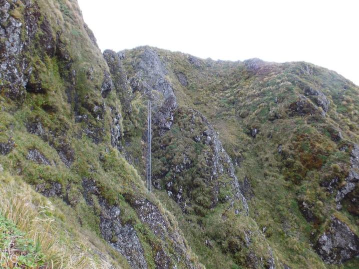 maungahuka4