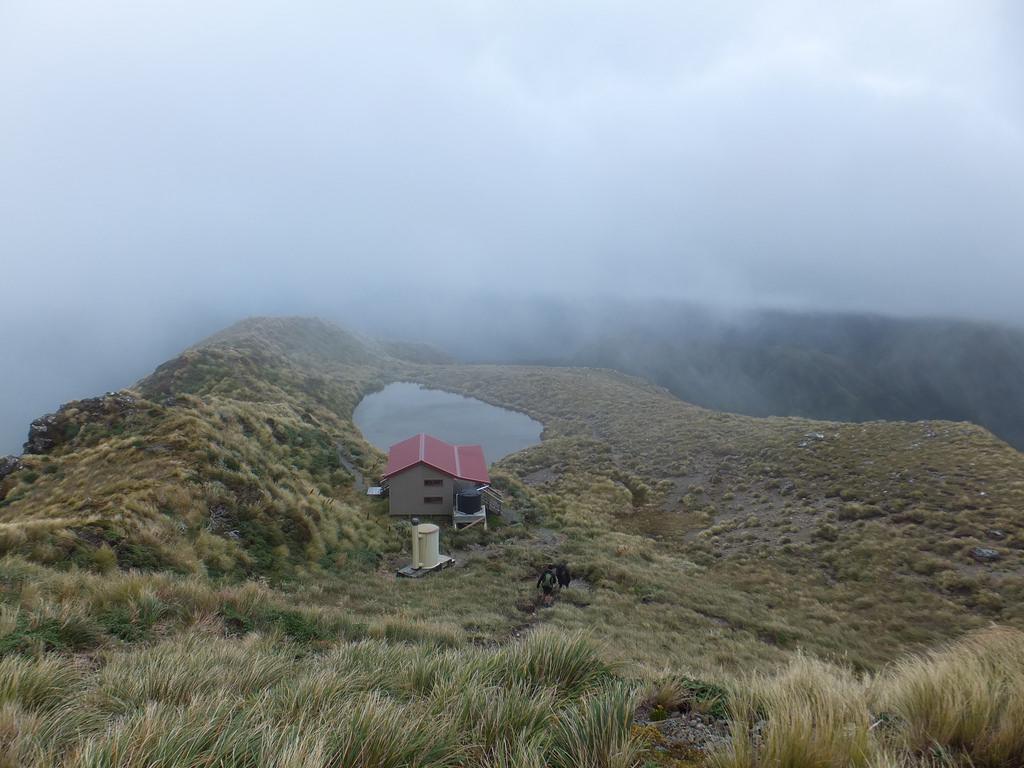 maungahuka5