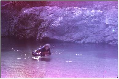 1989 Pelorous - Harry Smith Floating