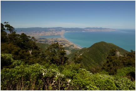 The view to Palliser Bay from the summit