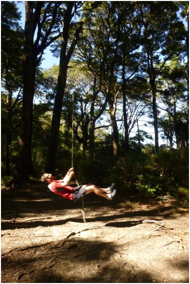 Gareth plays on the Paua Hut swing