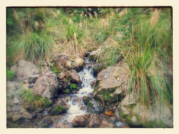 stream