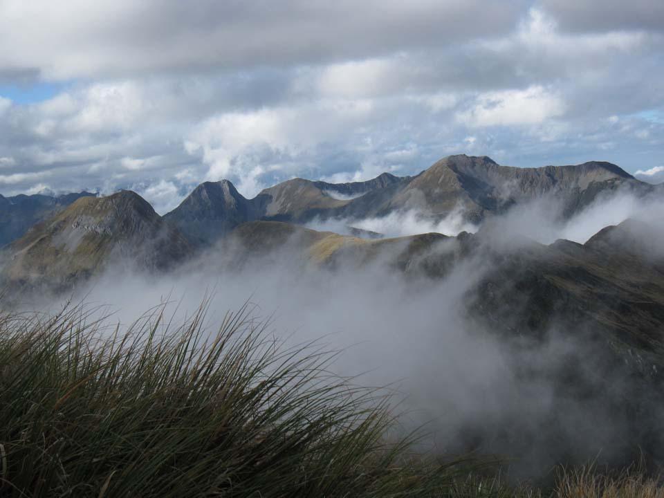 Tops