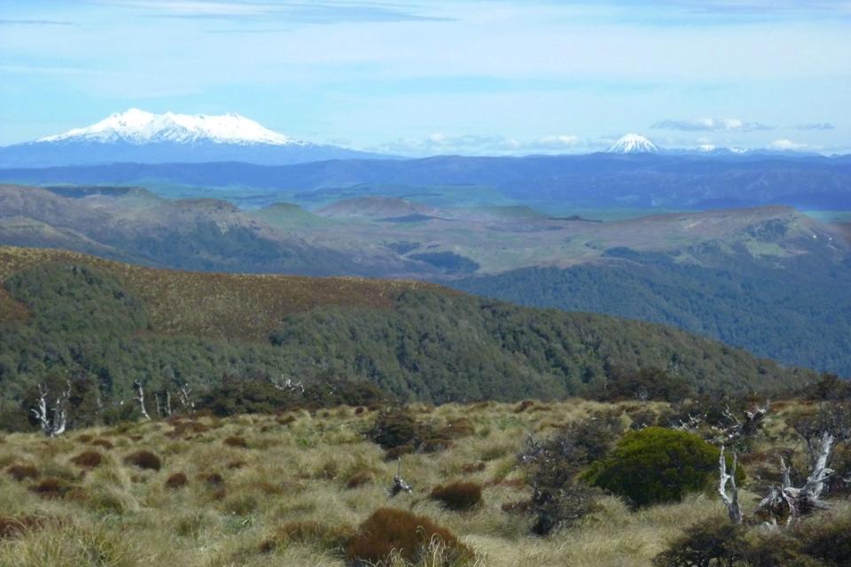 View from the ridge to Piopio