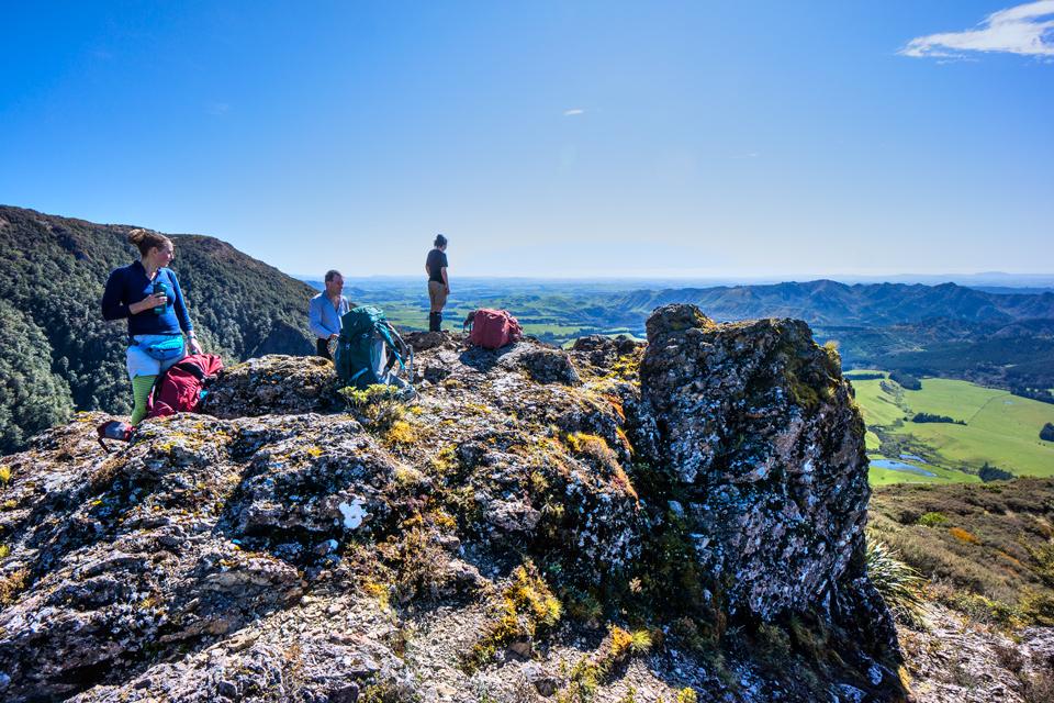 Looking out over Hawke's Bay from part way up the hill