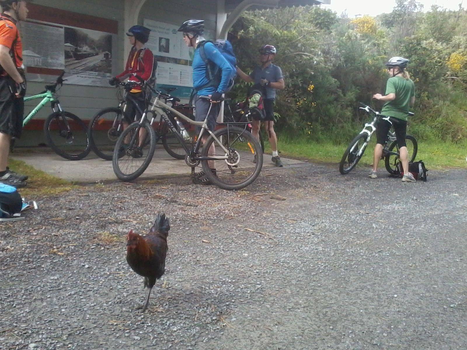 Bike trip