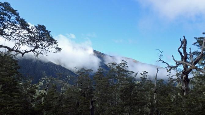 Morning mist over the beech forest (Photo: Anne)