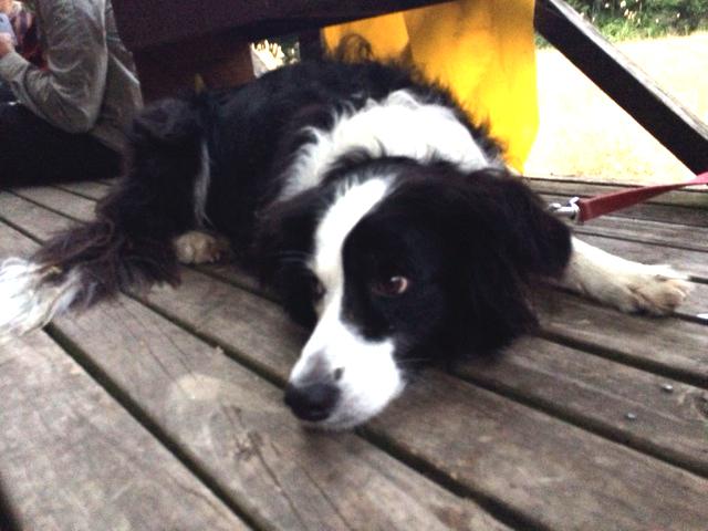 Our hut mate