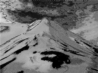 image005