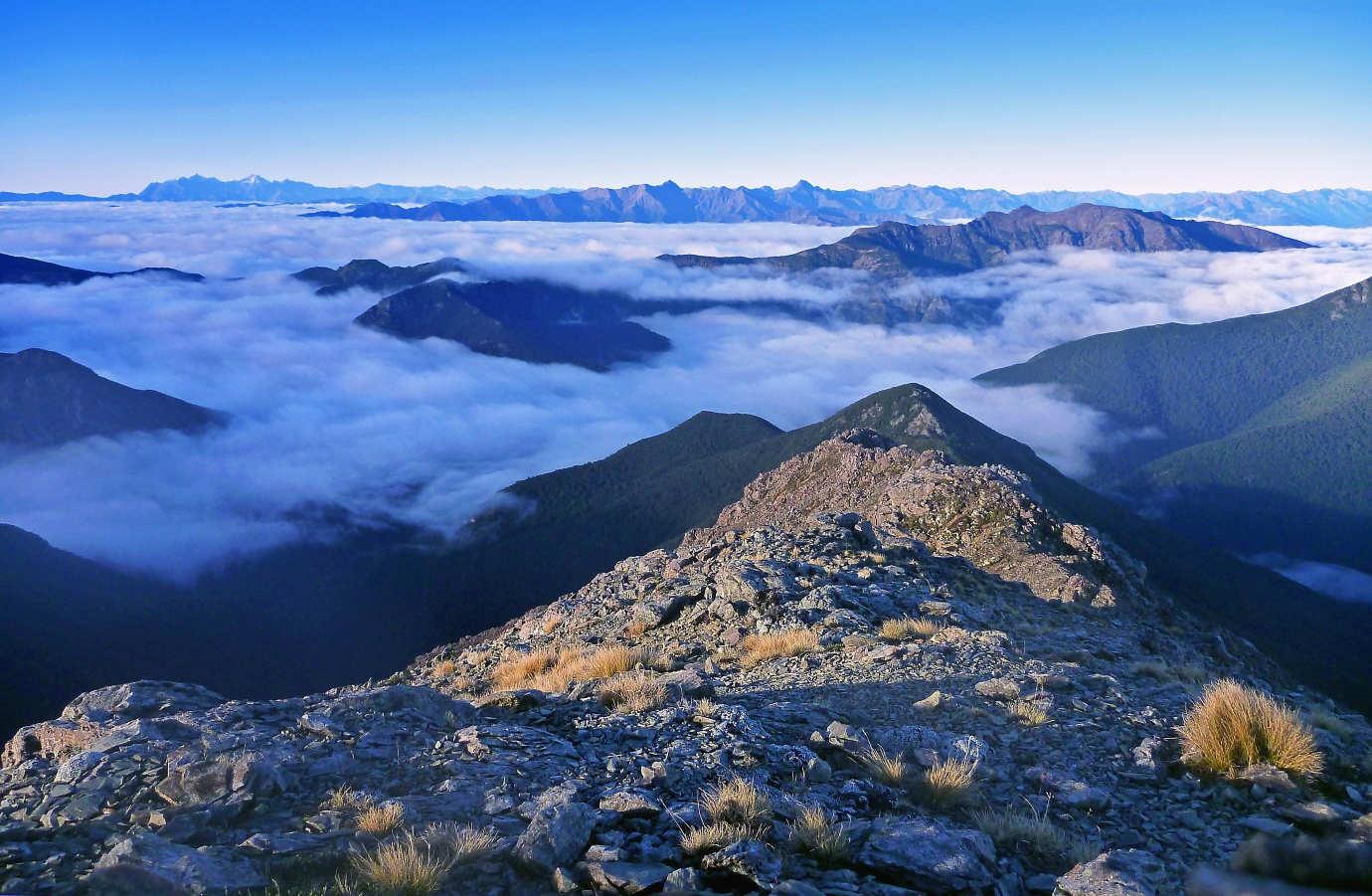 View from Mt Rintoul