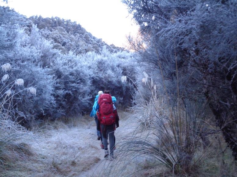 FrostTrack