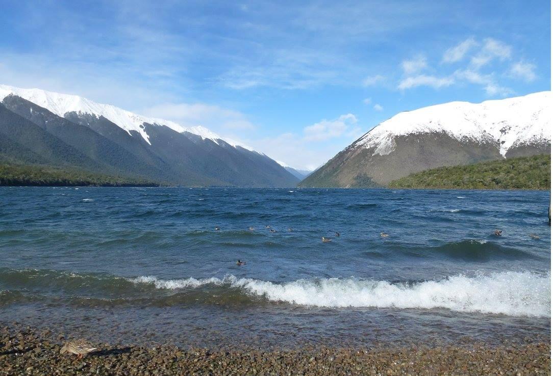 Lake view
