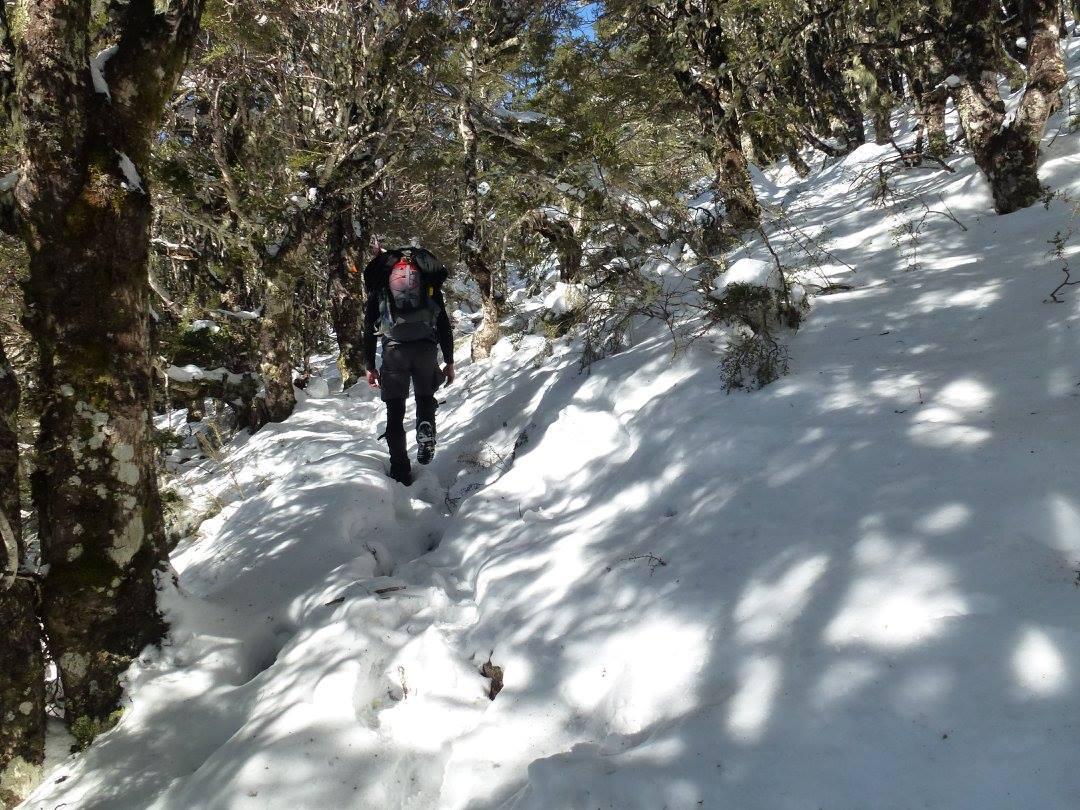 St Arnaud Track