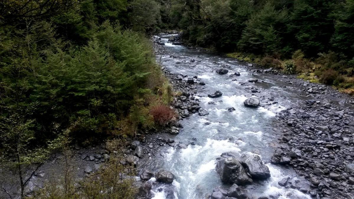 pic2