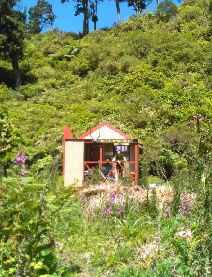Pohangina-Ngamoko-Piripiri 1