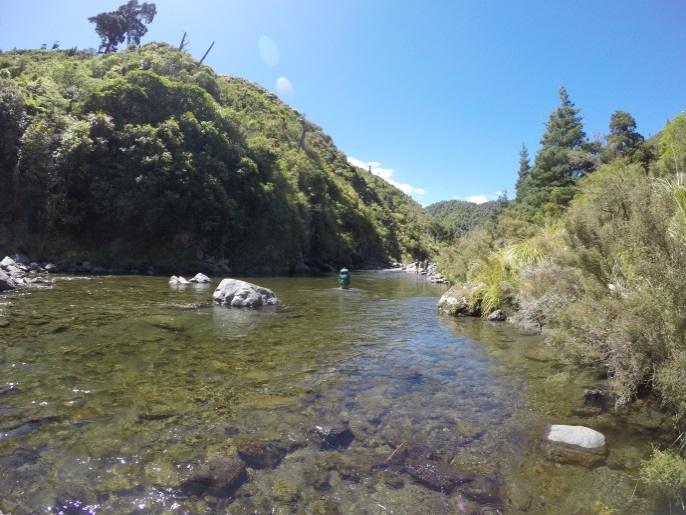 Pohangina-Ngamoko-Piripiri 2