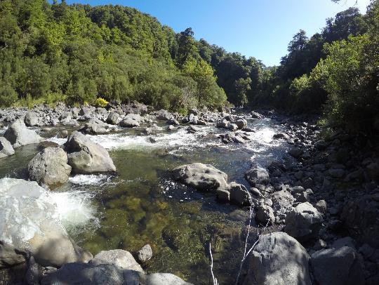 Pohangina-Ngamoko-Piripiri 4