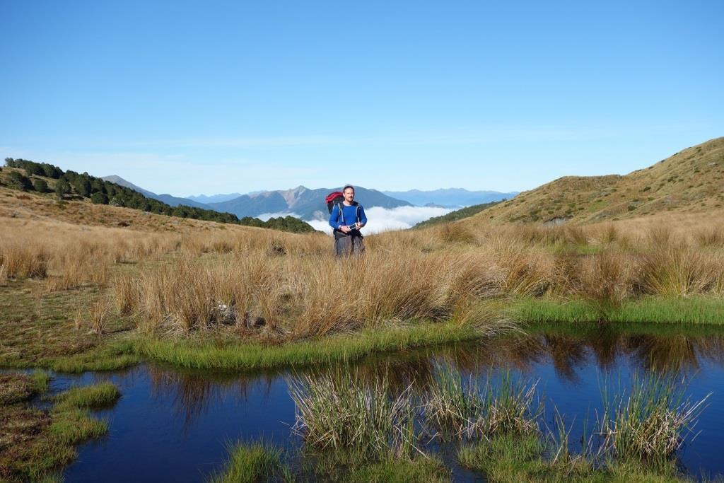 1 mole saddle tarn