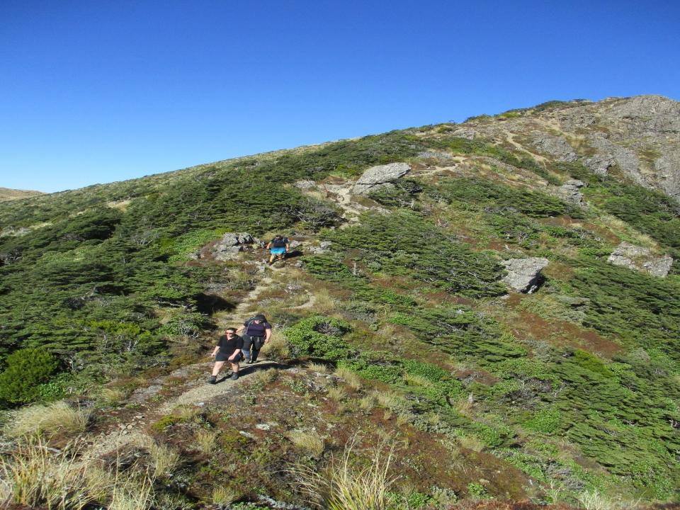 Trampers walking along a ridge in Ruahine Ranges