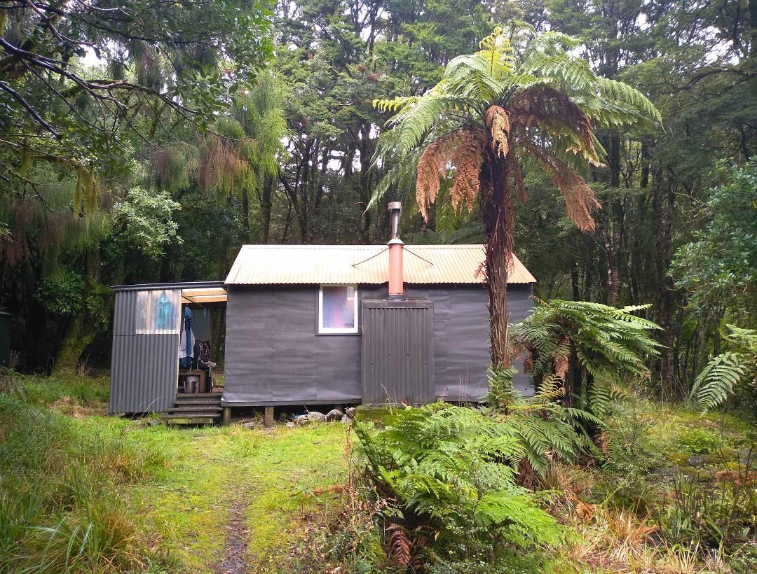 Neill Forks Hut - a welcome shelter for a snack or two.