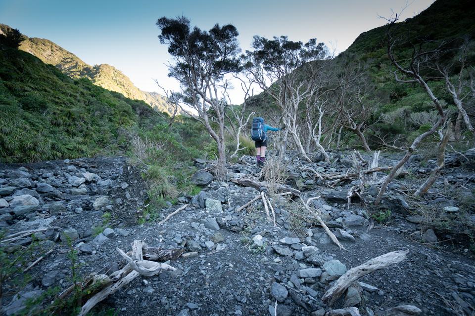 Corner Creek