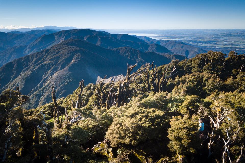 Mt Matthews