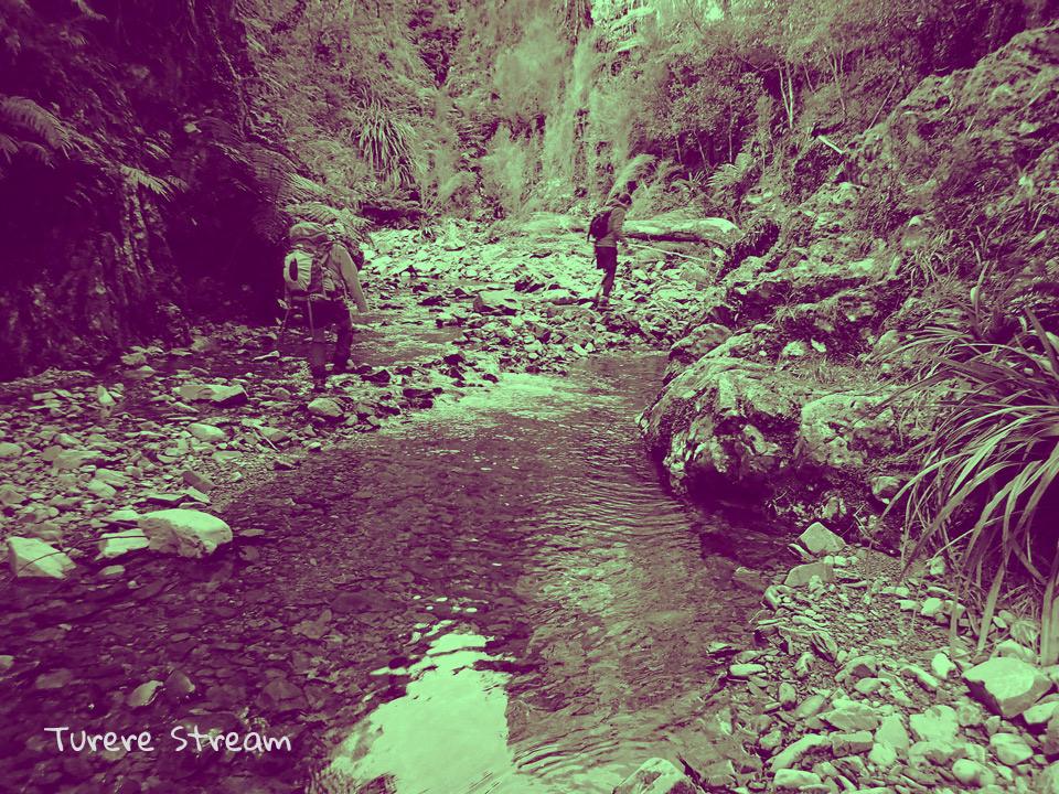 Turere Stream Waterfall