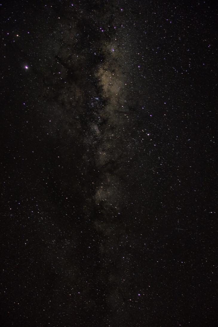 Stars, Canterbury