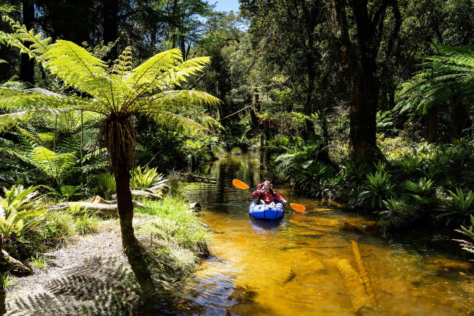 Paddling a short part of the portage past the rapids on the Hollyford River