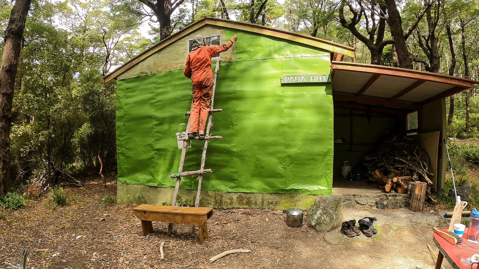 Pāua Hut