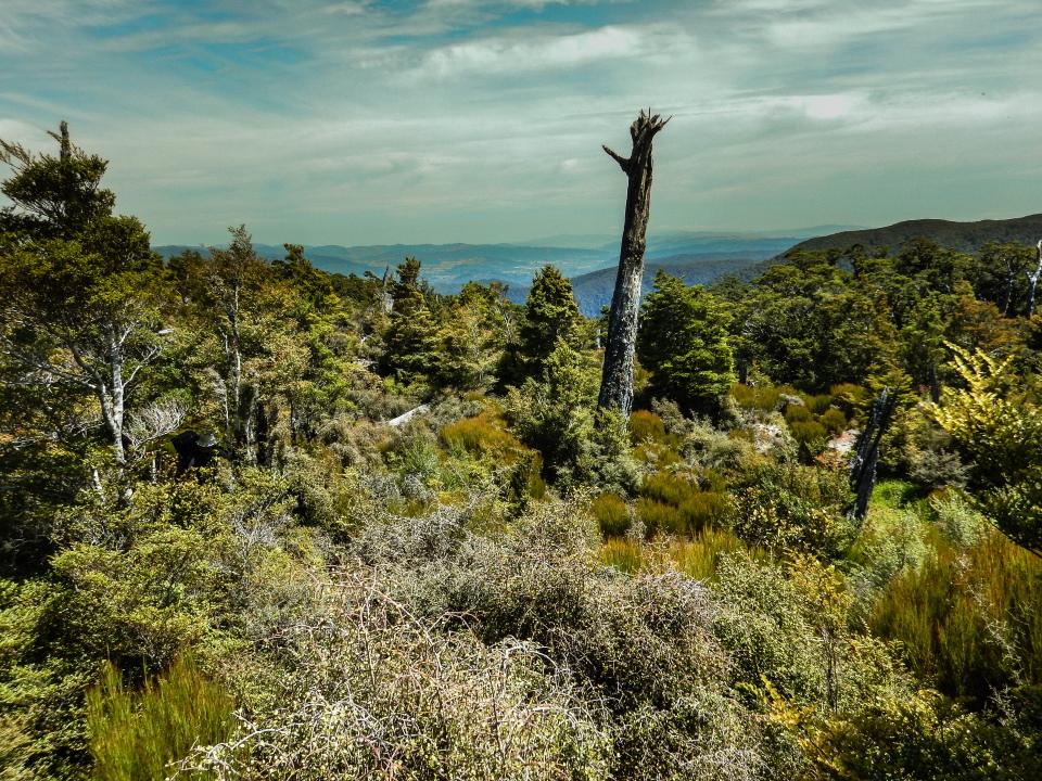 Quion Ridge