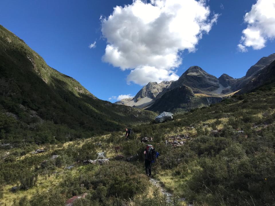 Nelson Lakes National Park