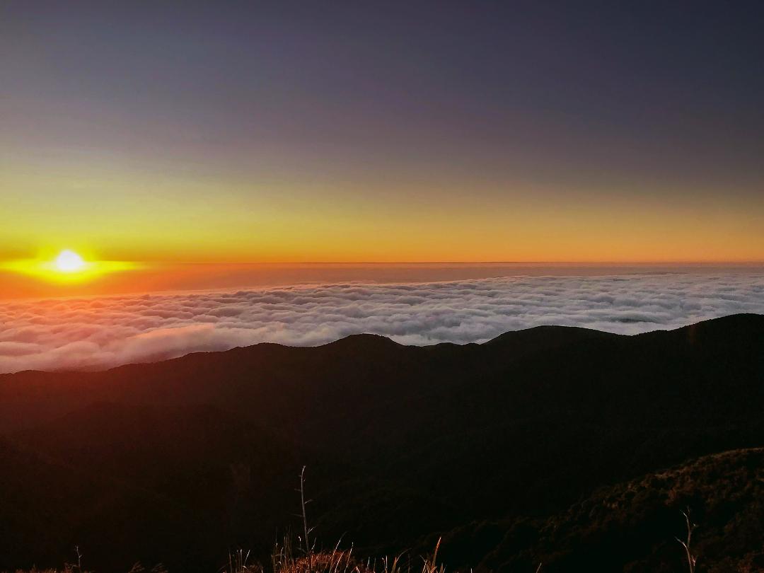 Rauahine Range