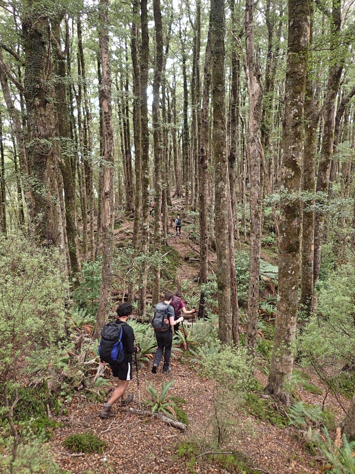 Turere Ridge