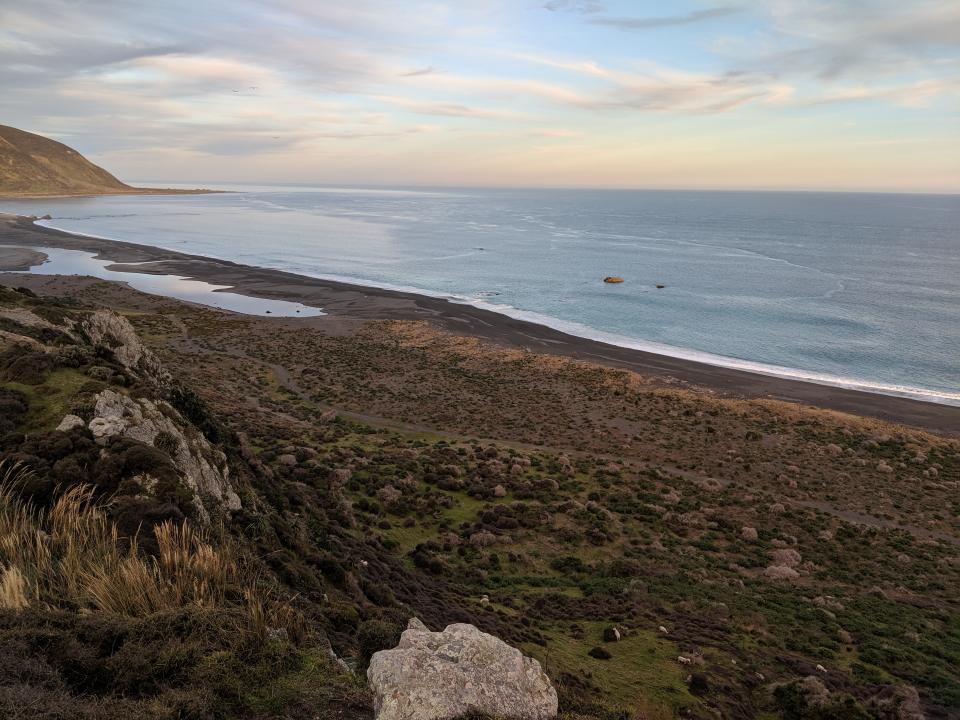 Aerial view of beach at Baring Head