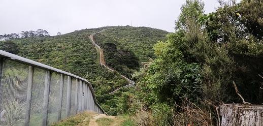 Zealandia