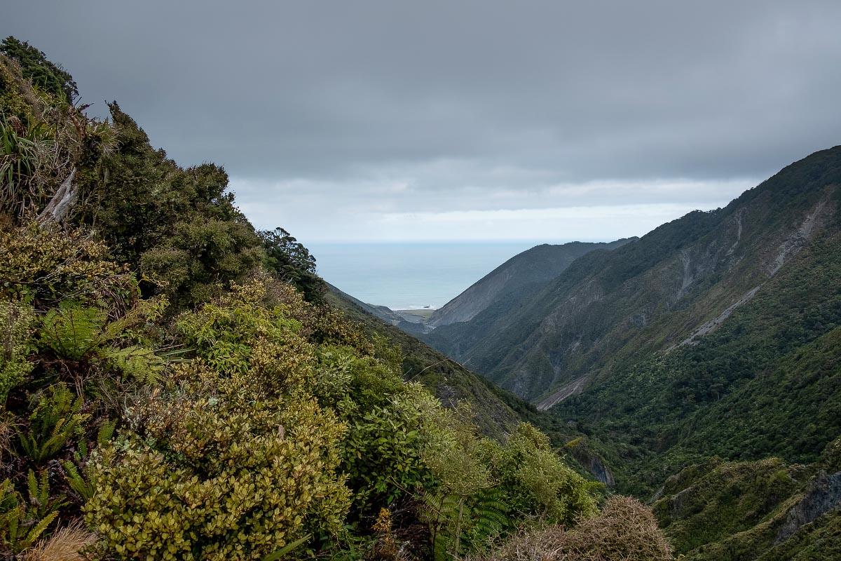 Mukamuka Stream viewed from South Saddle