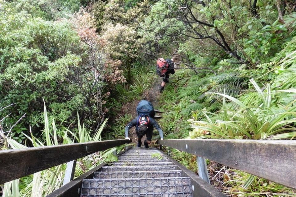 Walking down a ladder