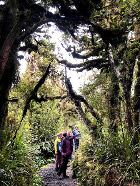 Admiring the scenery on Lake Dive Lower Track