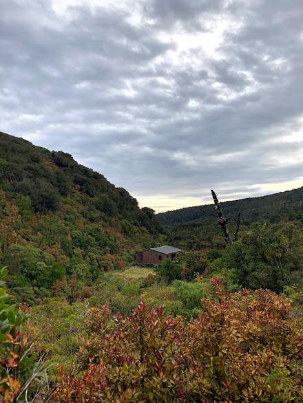 Lake Dive Hut